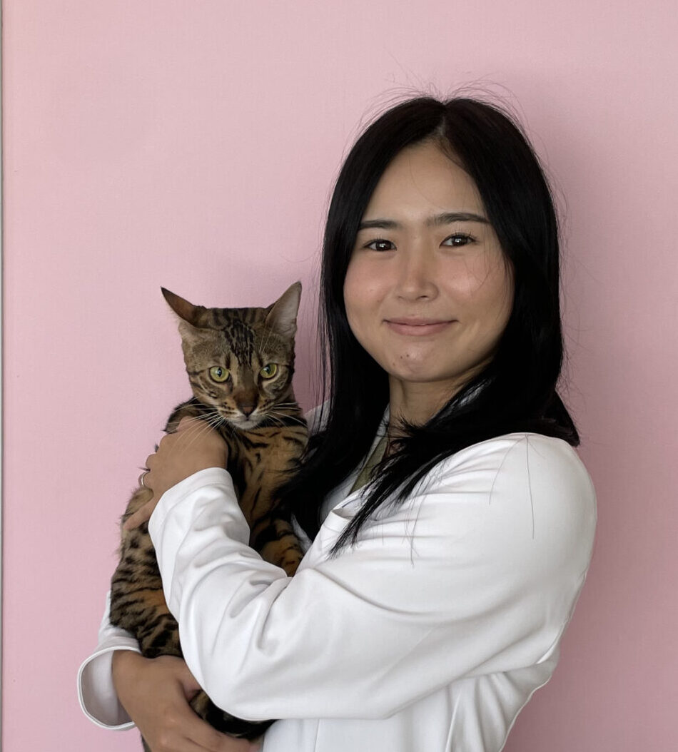 獣医師 市村桂子